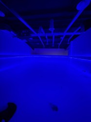 IMG 8932 1771459117 GNS Loft Rental