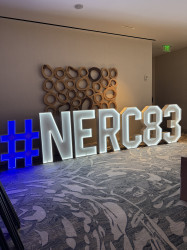 IMG 1013 1769625064 4ft LED Marquee Letters